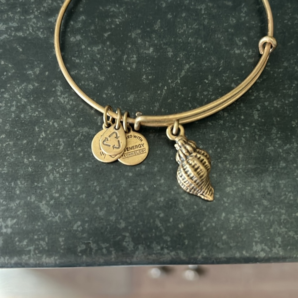 Alex & Ani adjustable bracelets. Set of 2. - Picture 3 of 5